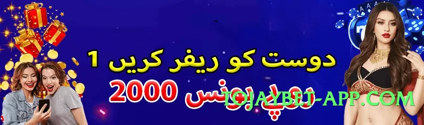 Best betpkr Chief Screenshot 4